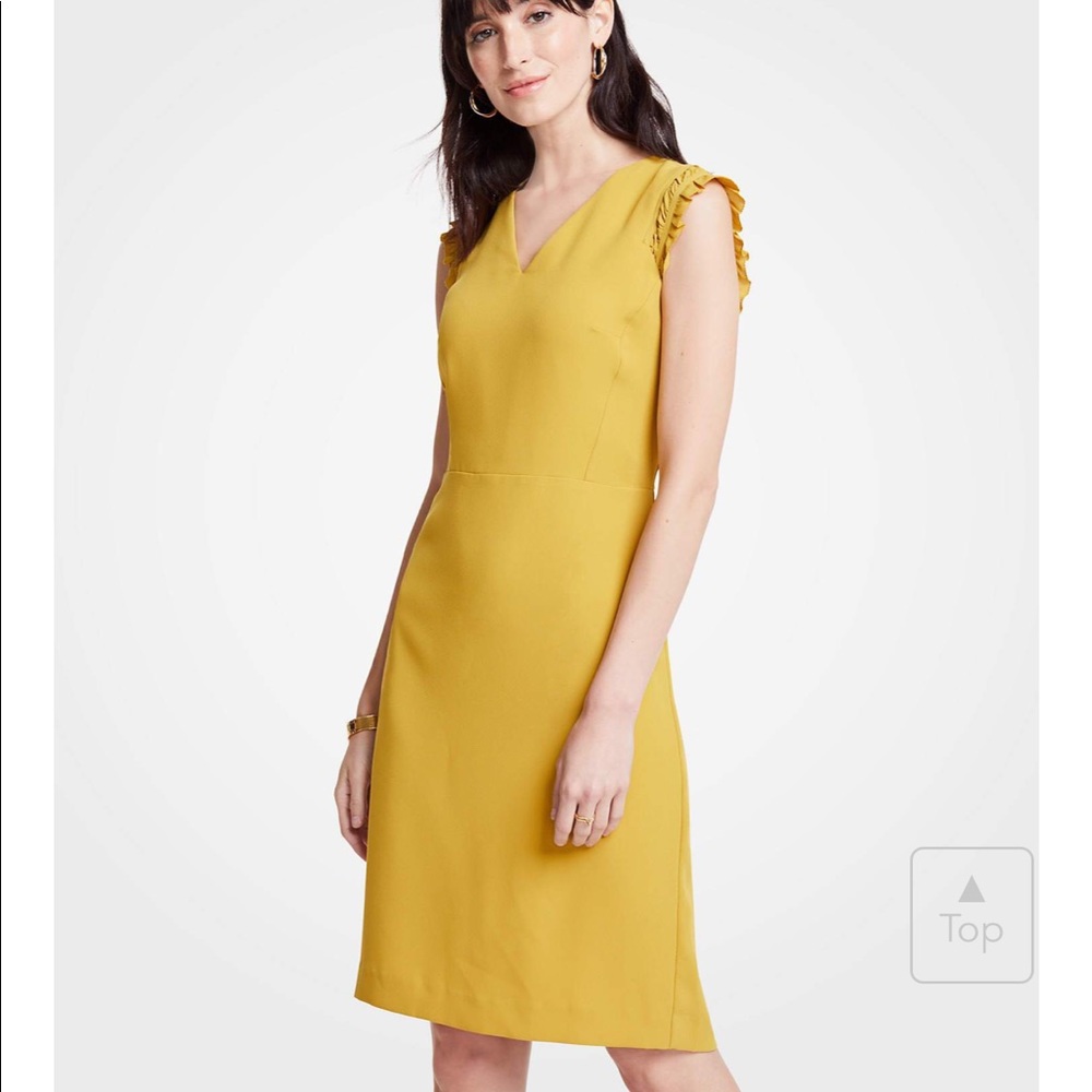 Ann Taylor Ruffle Sheath Dress in Honey Drop